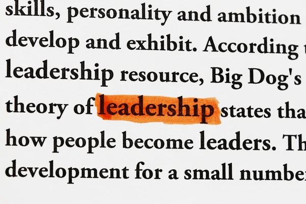 Leadership — Fotografie, imagine de stoc