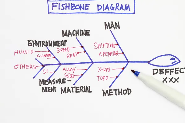Fishbone diagram — Stock fotografie
