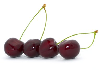 Four cherries clipart