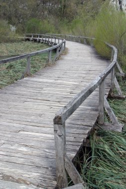 plitvice gölleri içinde ahşap yolu