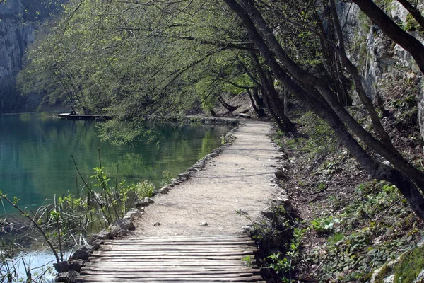 Plitvice gölleri içinde yol — Stok fotoğraf