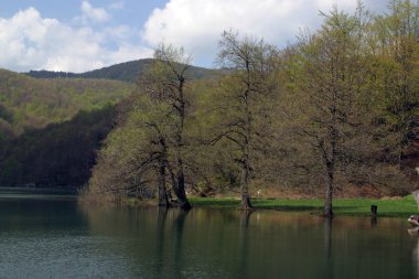 Hırvatistan 'da Plitvice Lakes Ulusal Parkı