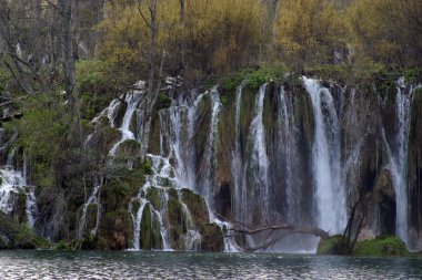 Hırvatistan 'da Plitvice Lakes Ulusal Parkı