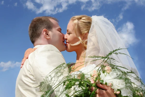 Свадебный поцелуй Стоковое Изображение