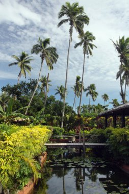 Tropical resort with palm trees and pond clipart