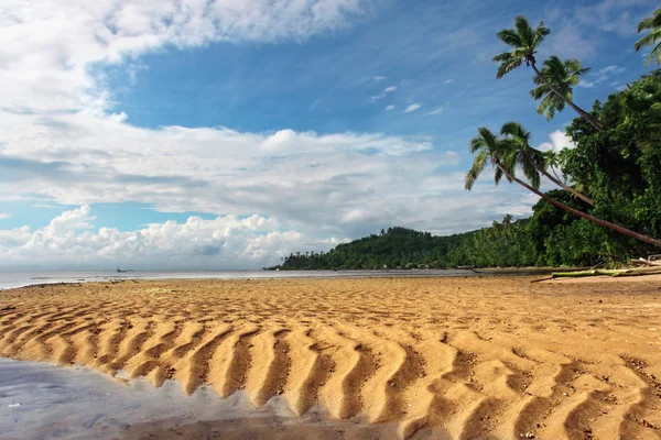 Tropikalny krajobraz z piaszczystej wydmy — Zdjęcie stockowe