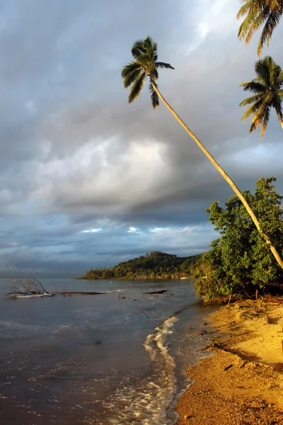 Tropisch landschap. zonsondergang — Stockfoto