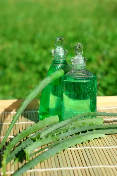 Aloe vera in cosmetic — Stock Photo, Image