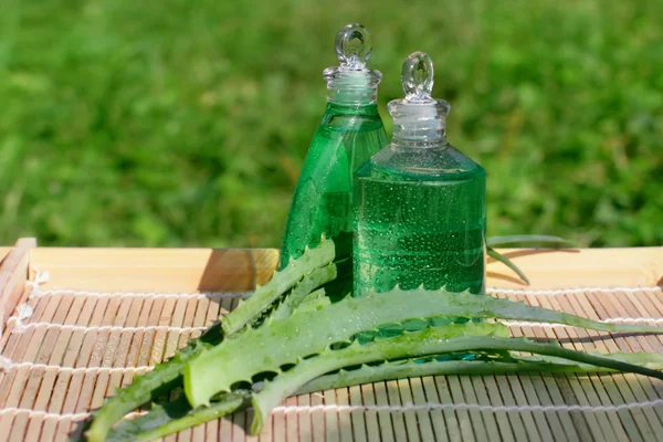 Aloe vera in cosmetic — Stock Photo, Image