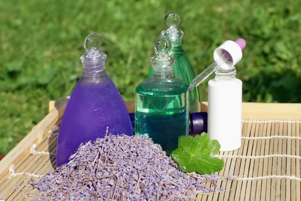 Lavendel en aloe vera in cosmetische — Stockfoto
