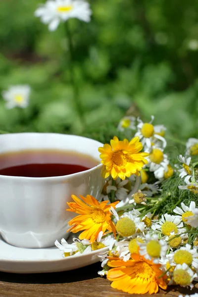 Chá de ervas — Fotografia de Stock