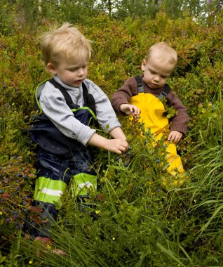 Children picking berries clipart