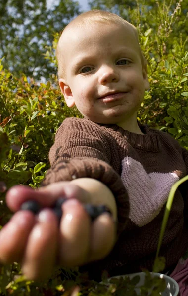 Child offering blueberries — Stock Photo, Image