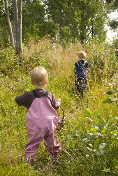 Niños con cestas en el bosque —  Fotos de Stock