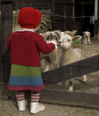 Girl and lambs clipart