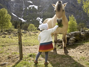 Child feeding horse clipart