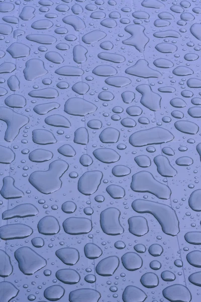 Rain droplets — Stock Photo, Image