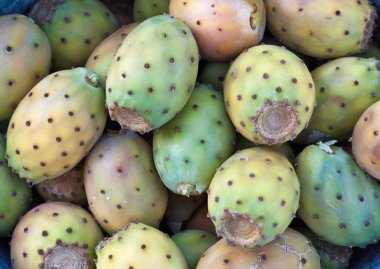 Prickly Pears clipart