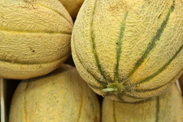 stock image Yellow melon