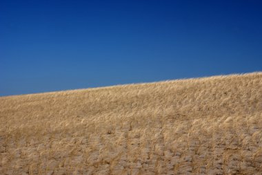 Dunes mavi gökyüzü karşı