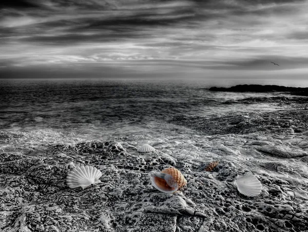 Adriyatik Denizi — Stok fotoğraf