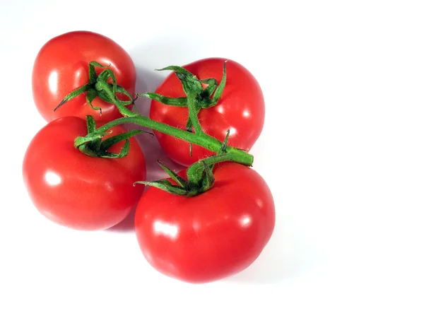 Modne tomater - Stock-foto