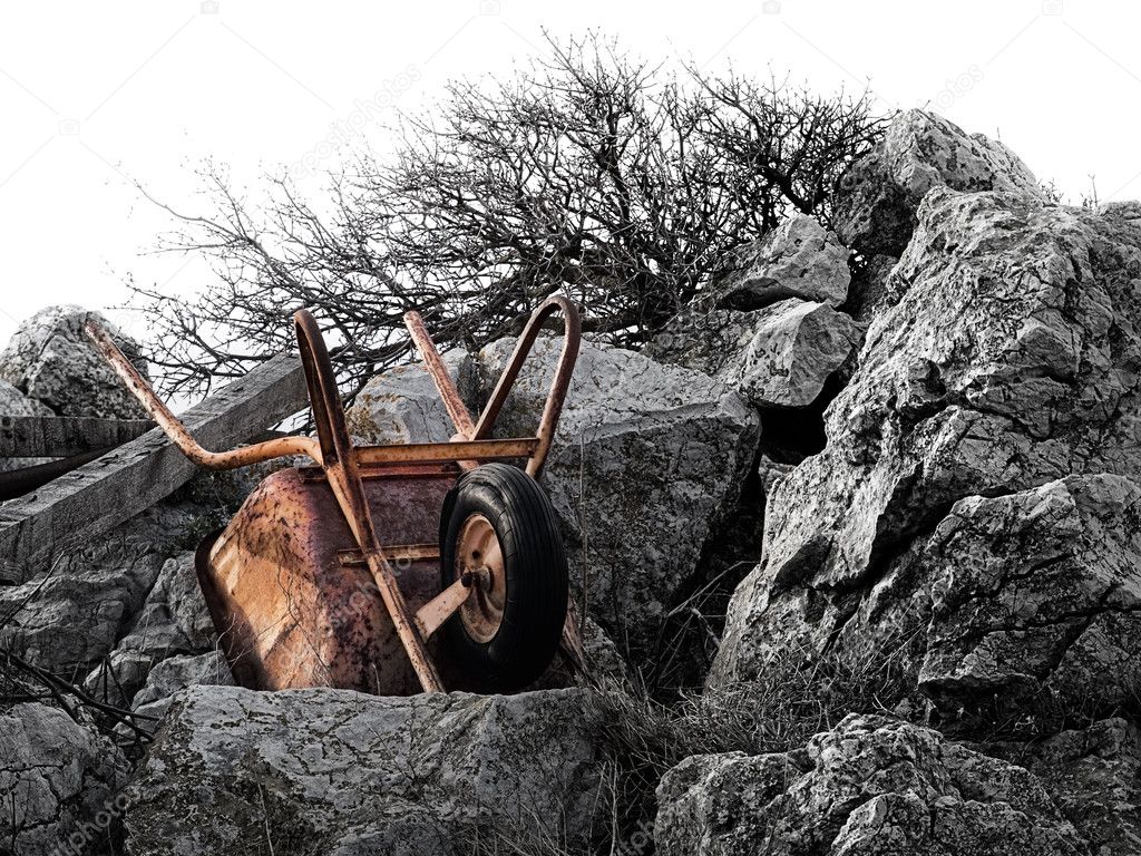 Rusty wheelbarrow