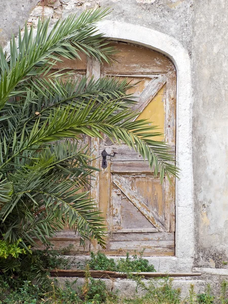 Старая скрытая дверь — стоковое фото