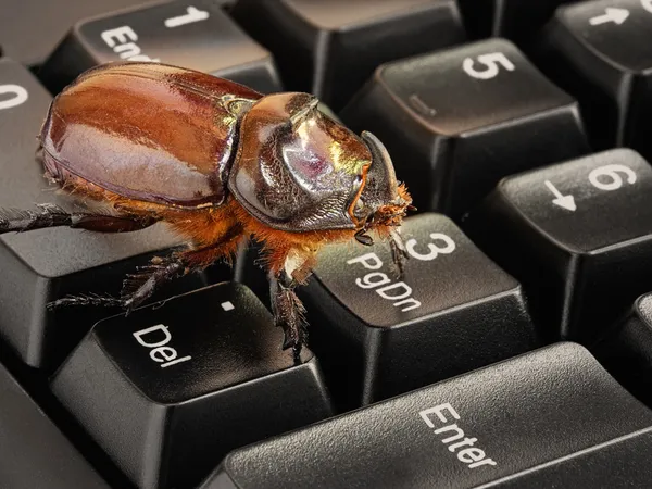 计算机 bug — 图库照片