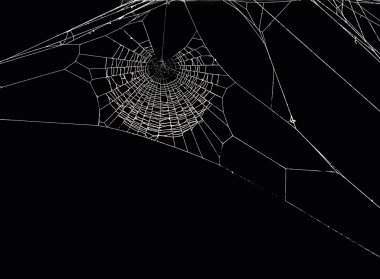 Spider's net clipart