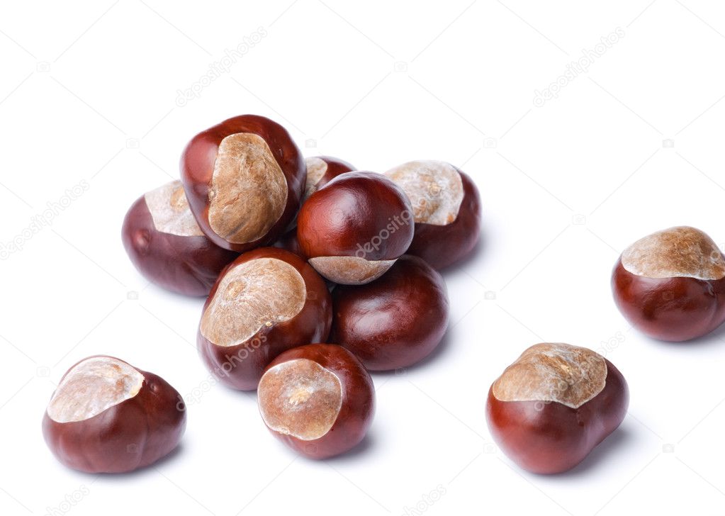 Wild chestnuts