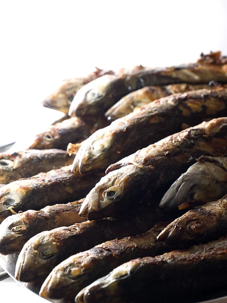 Mackerels yığını — Stok fotoğraf