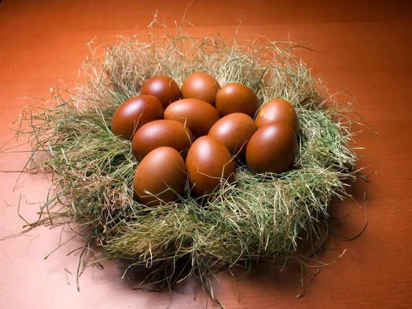 Huevos en el nido — Foto de Stock