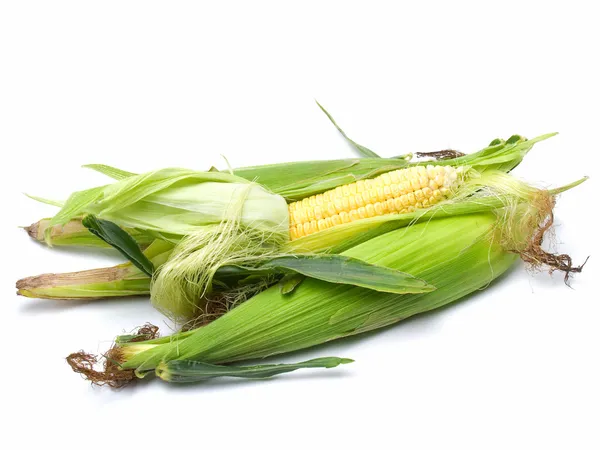 stock image Fresh corn