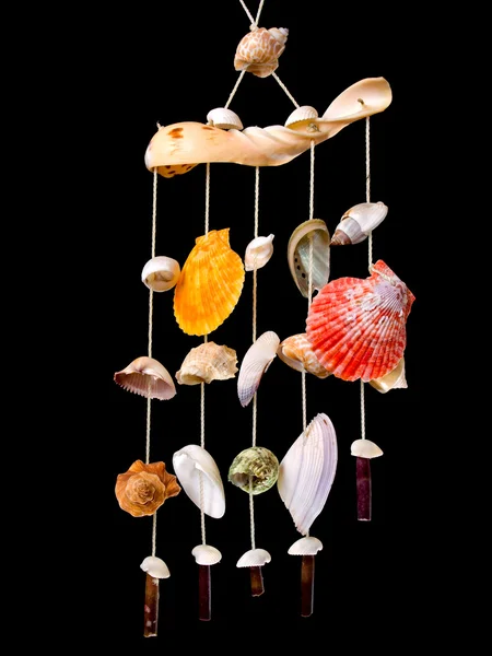 貝の装飾 — ストック写真