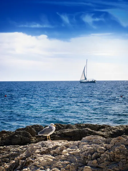 アドリア海のスタッフ — ストック写真
