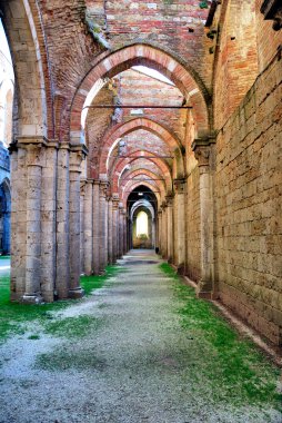 San Galgano Abbey (Toskonya kalıntıları)