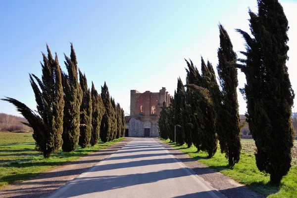The path to the Abbey of San Galgano — Stock Photo, Image