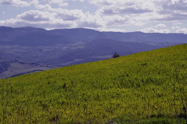 Landschaft der Maremma (Toskana)) — Stockfoto