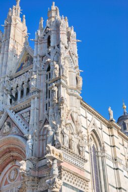 Cattedrale di Santa Maria Assunta (Siena clipart