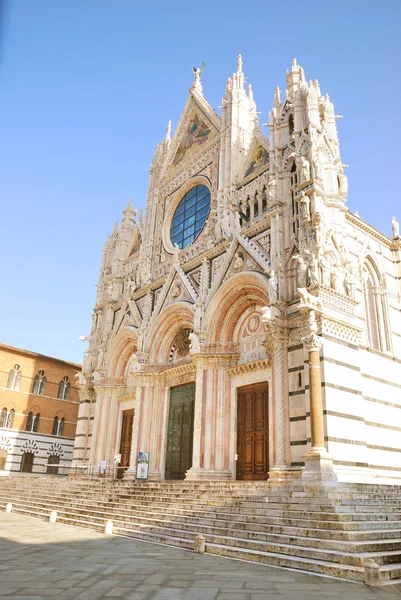Cattedrale di Santa Maria Assunta (Siena — Stock fotografie