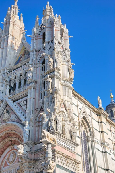 Cattedrale di Santa Maria Assunta (Siena — Foto de Stock