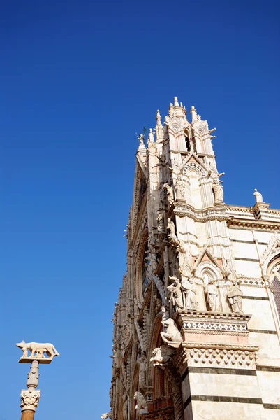 Cattedrale di Santa Maria Assunta (Siena — Stockfoto