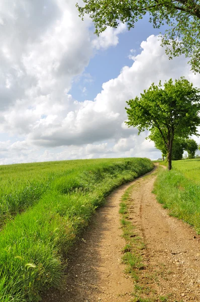 Country path — Stock Photo, Image