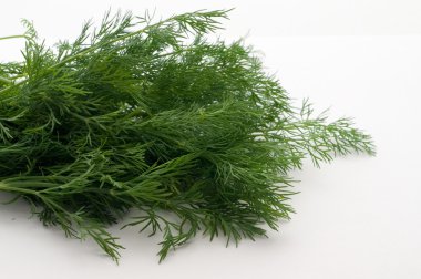 Dill.