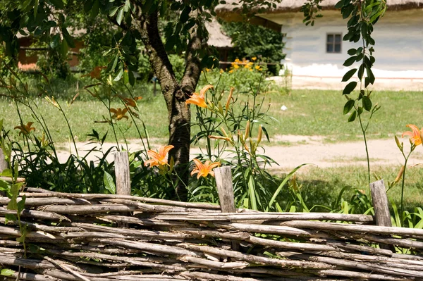 Зшиті дерев'яний паркан — стокове фото