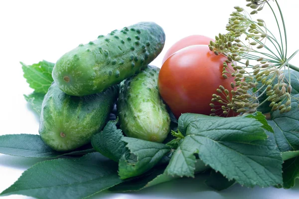 Tomates et concombre — Photo