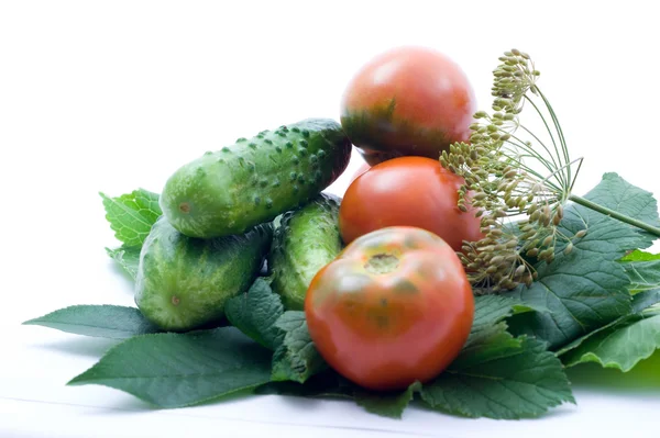 Tomater og agurker – stockfoto