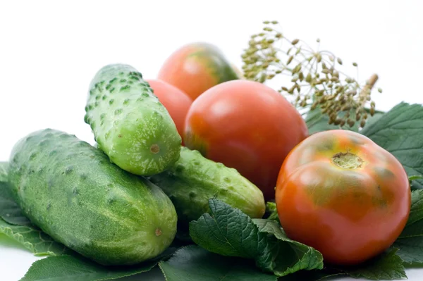 Tomatoes and cucumber — Stock Photo, Image