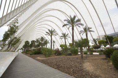 l umbracle Bahçe